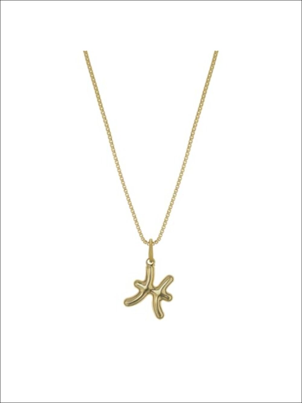 Waterproof Gold PVD Coated Pendant Necklace Hypoallergenic Zodiac Charm with 18